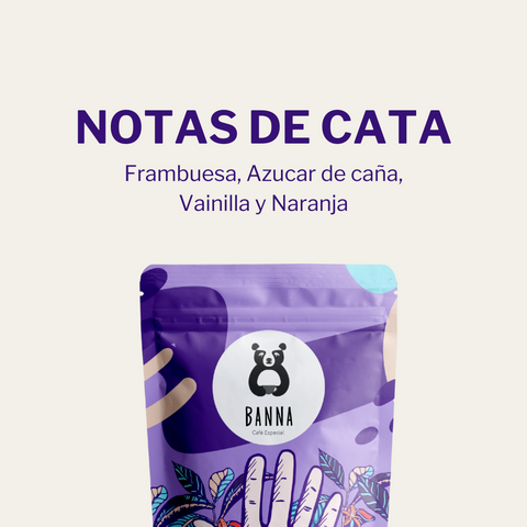 Café de Alfonso Rivas - Detalle y características vista 2