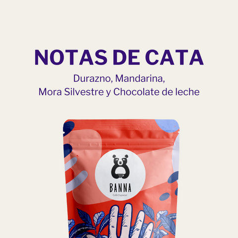 Café Blend Espresso - Detalle y características vista 2