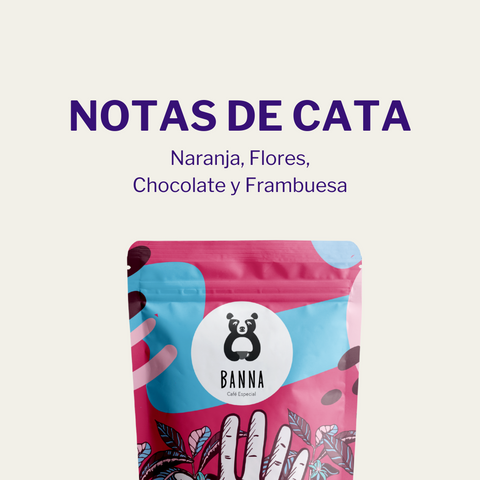 Café de Jorge Elias Rojas - Detalle y características vista 2