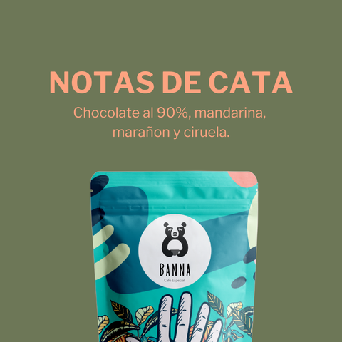 Café Decaf de Nicolás Ome