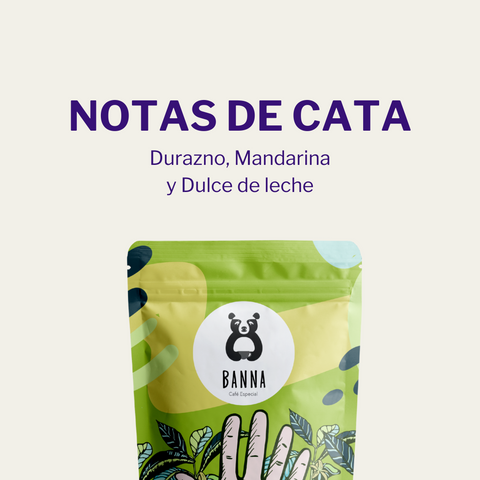 Café de Rio Baché - Detalle y características vista 2