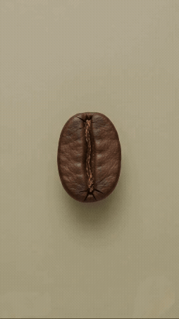 Mocaccino Coffee Bar Box 12g (from 6 units)