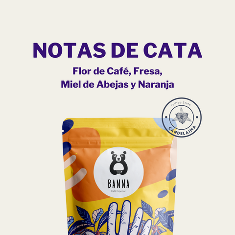 Café Gesha Honey de Candelaima 200g - Detalle y características vista 2